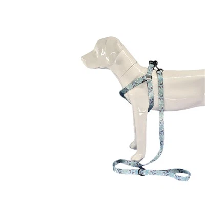 Úim Madraí do Mhadraí Móra