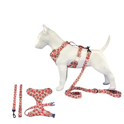 Úim Madraí Cailín