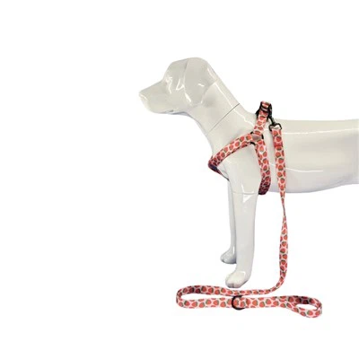 Úim Madra Sútha talún